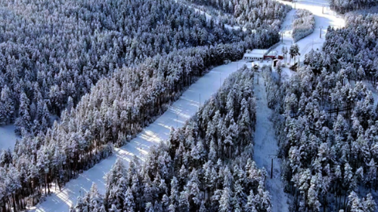 Foto - Mersin'de karla kaplanan ormanlık alandan kartpotallık görüntüler