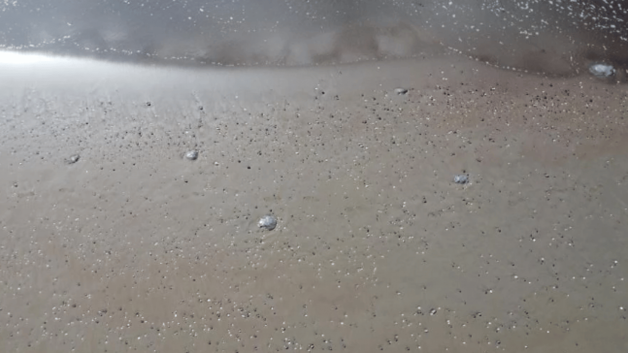 Foto - Mersin’de tiksindiren görüntü! Yüzlercesi sahile vurdu