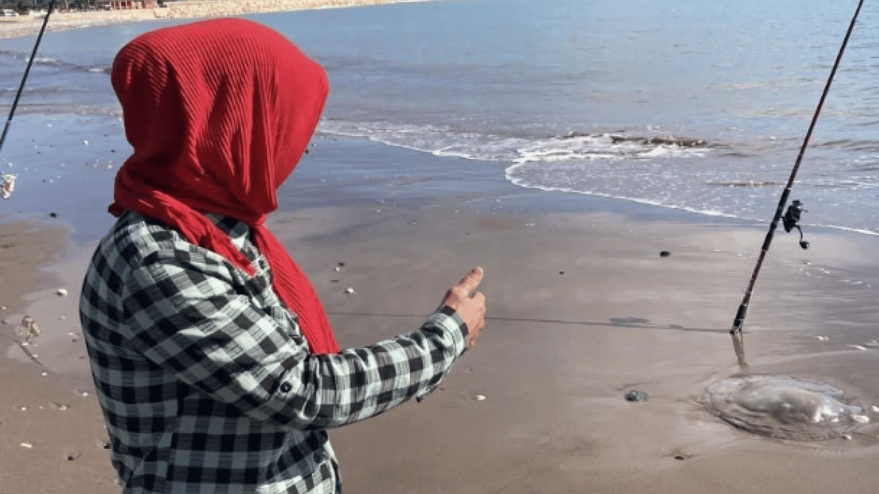 Foto - Mersin’de tiksindiren görüntü! Yüzlercesi sahile vurdu