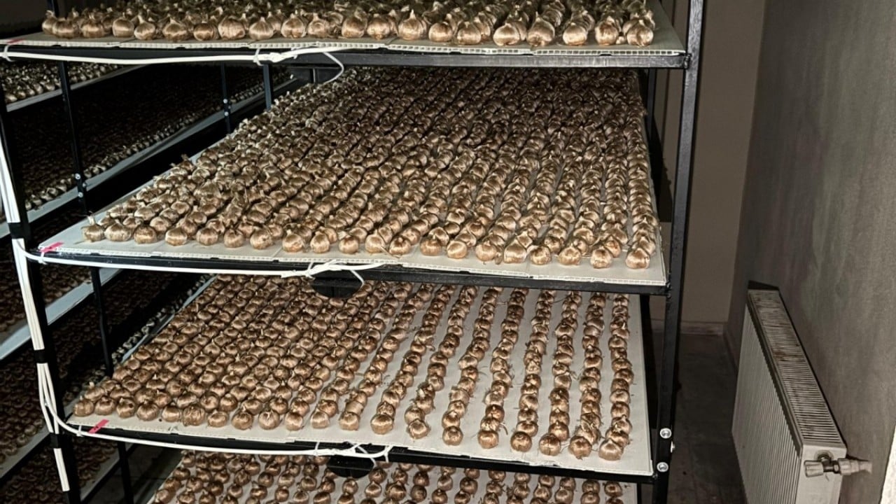 Foto - Mesleğini bırakıp üretime başladı