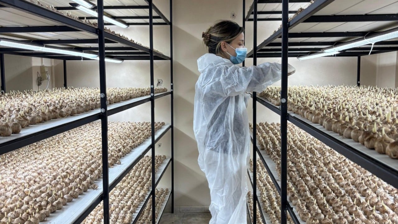 Foto - Mesleğini bırakıp üretime başladı