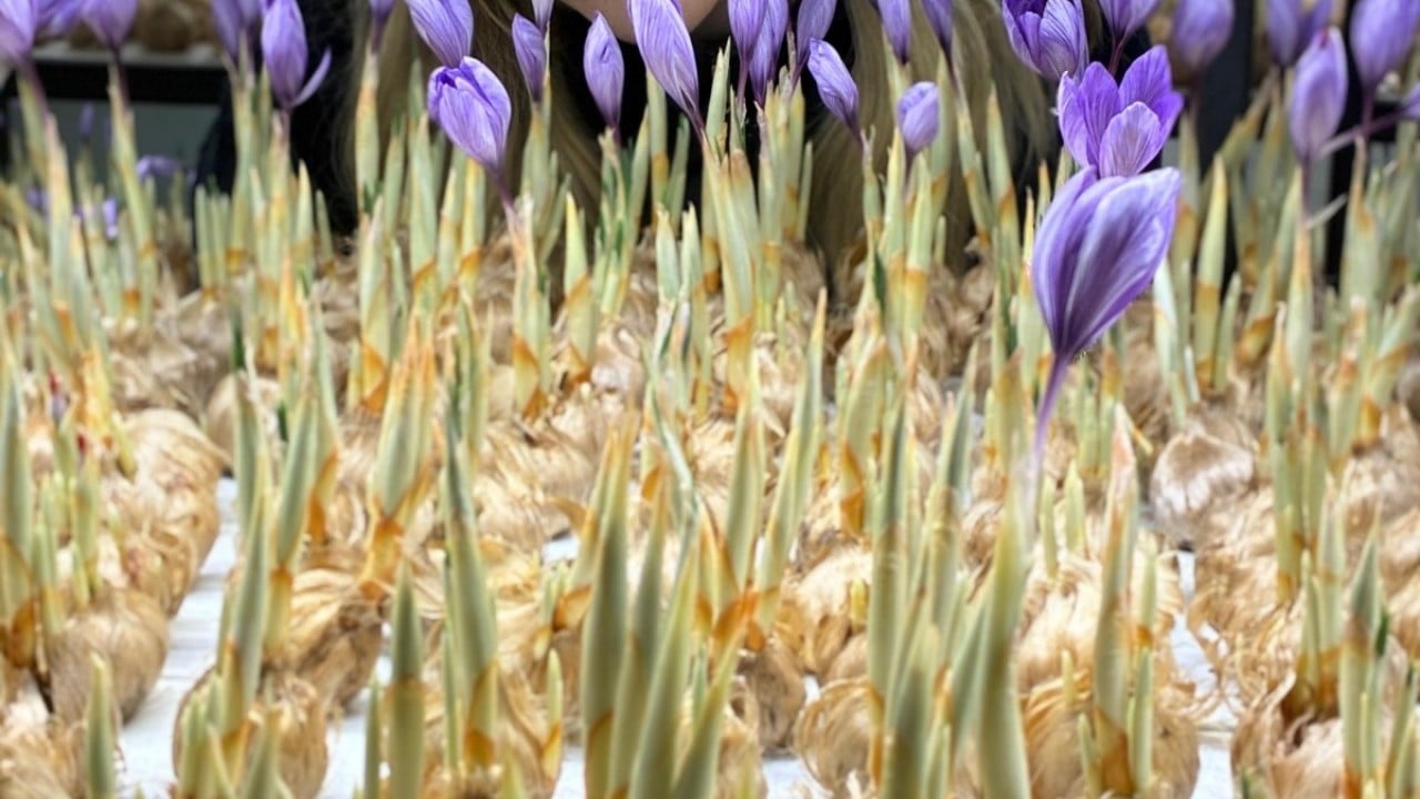 Foto - Mesleğini bırakıp üretime başladı