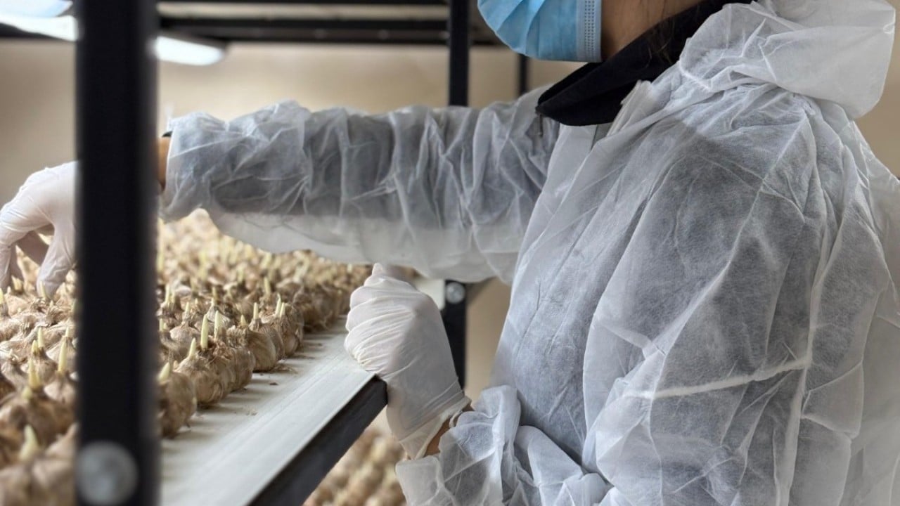 Foto - Mesleğini bırakıp üretime başladı