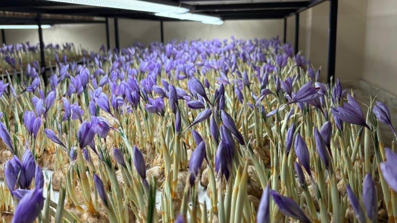 Foto - Mesleğini bırakıp üretime başladı