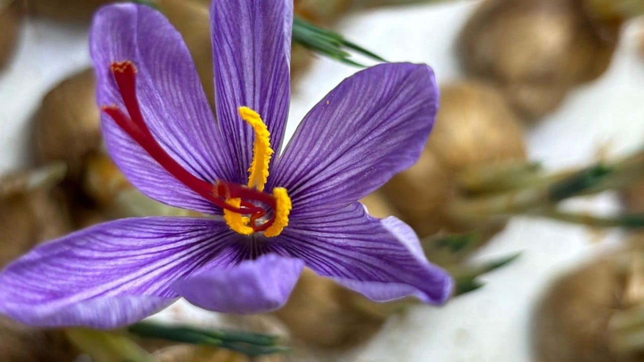 Foto - Mesleğini bırakıp üretime başladı
