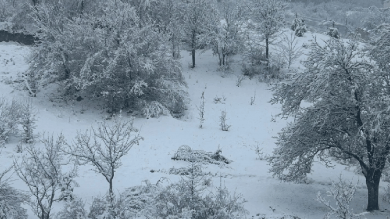 Foto - Meteoroloji uyarmıştı! Sivas'ta lapa lapa kar yağdı