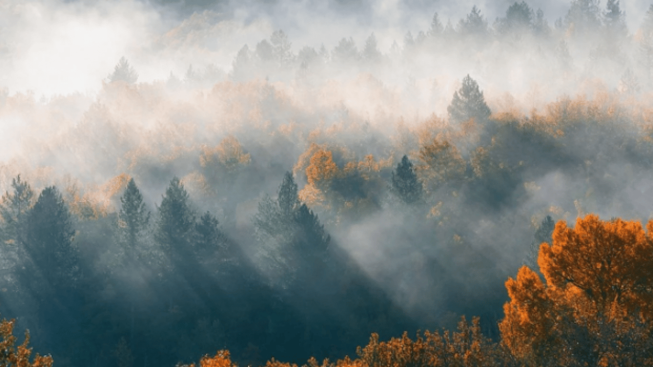 Foto - Meteoroloji’den 5 il için sis ve pus uyarısı