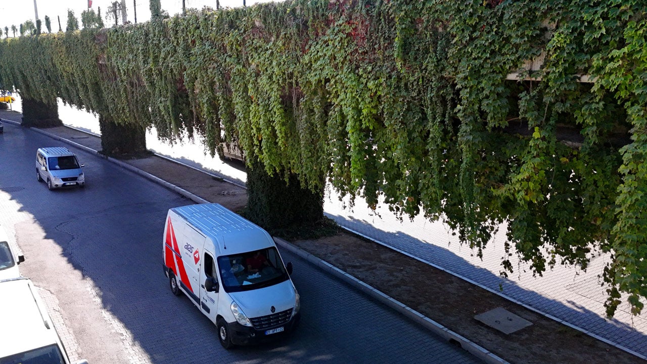 Foto - Metro yolu büyülüyor! Betonun ortasında yeşil bir masal