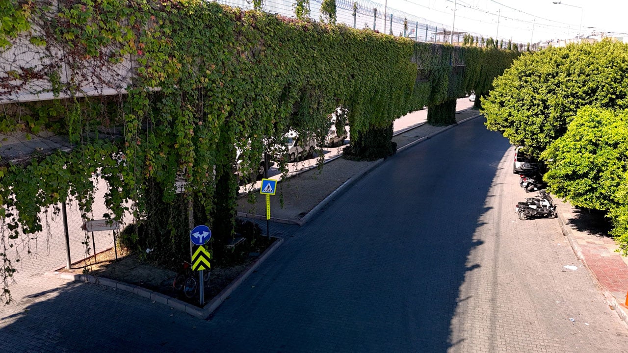 Foto - Metro yolu büyülüyor! Betonun ortasında yeşil bir masal