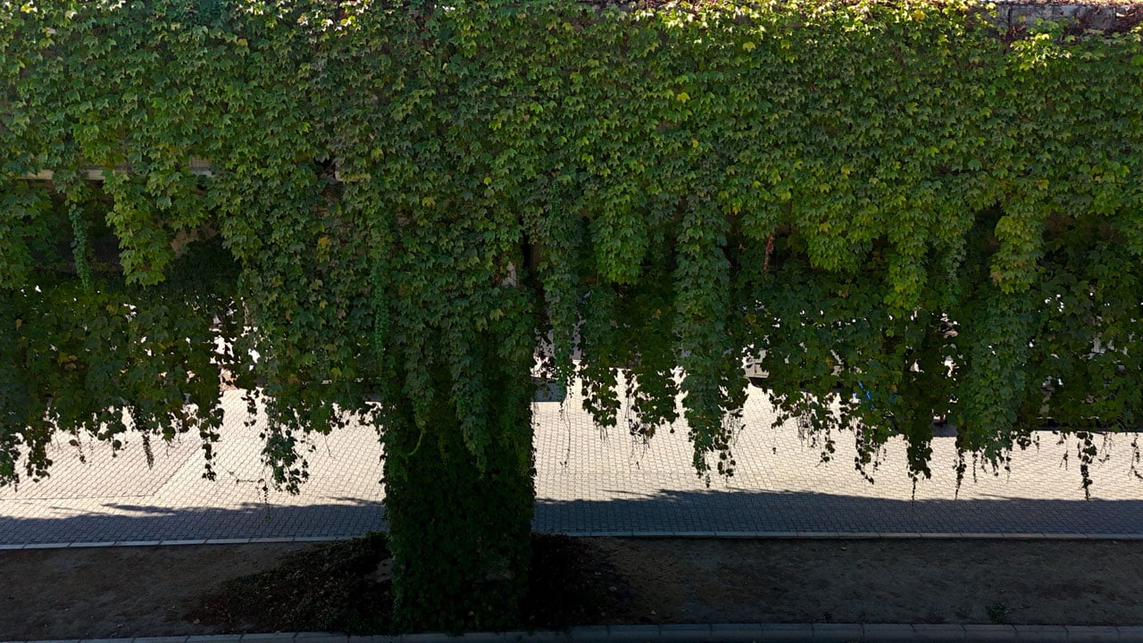 Foto - Metro yolu büyülüyor! Betonun ortasında yeşil bir masal