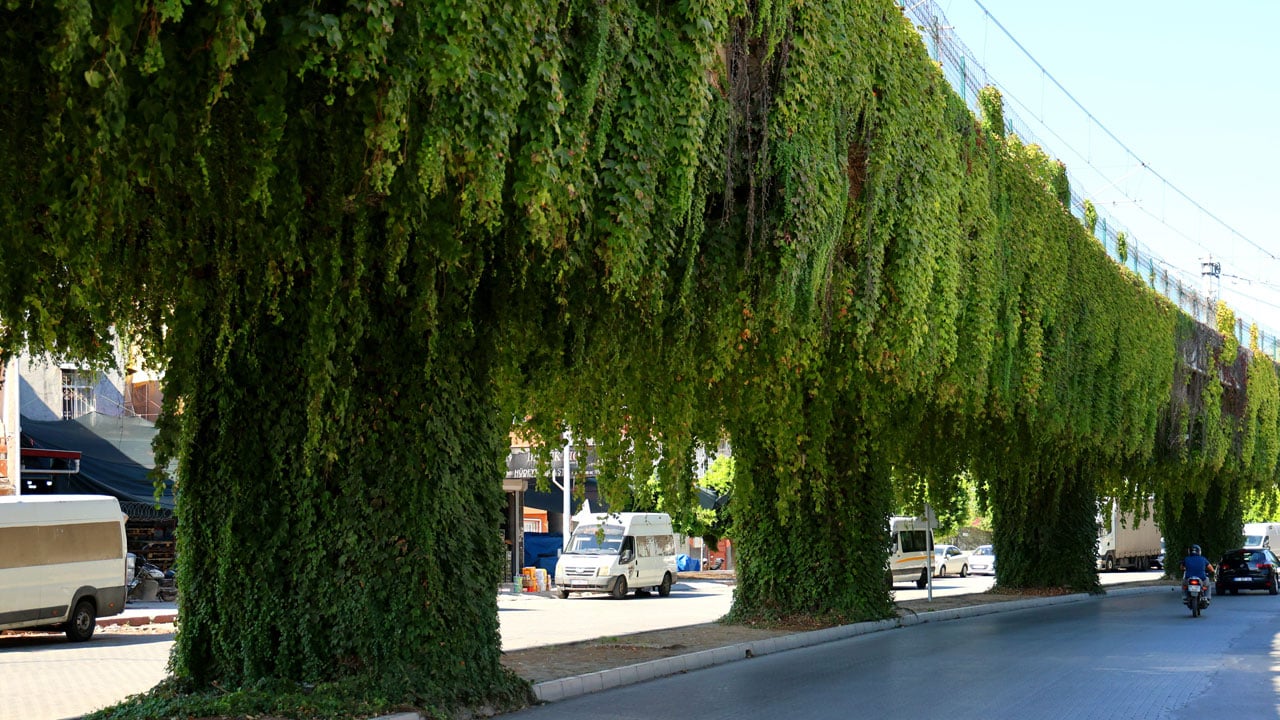 Foto - Metro yolu büyülüyor! Betonun ortasında yeşil bir masal
