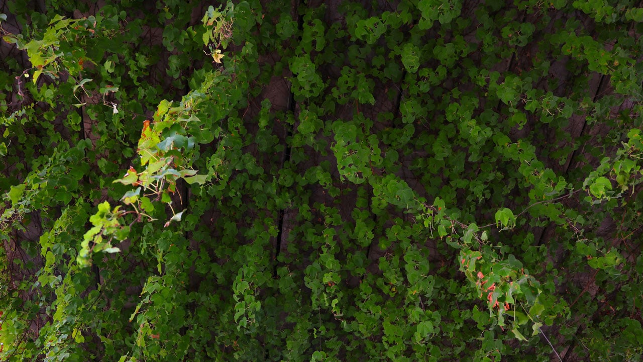 Foto - Metro yolu büyülüyor! Betonun ortasında yeşil bir masal
