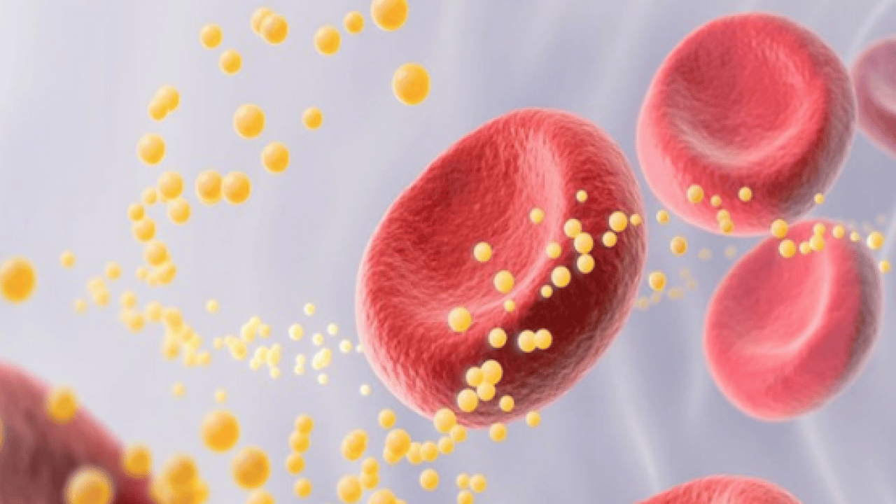 Foto - Yüksek kolesterol değerlerini kısa sürede düzeltiyor! Meyve ve sebzeler: Kolesterole karşı daha sağlıklı