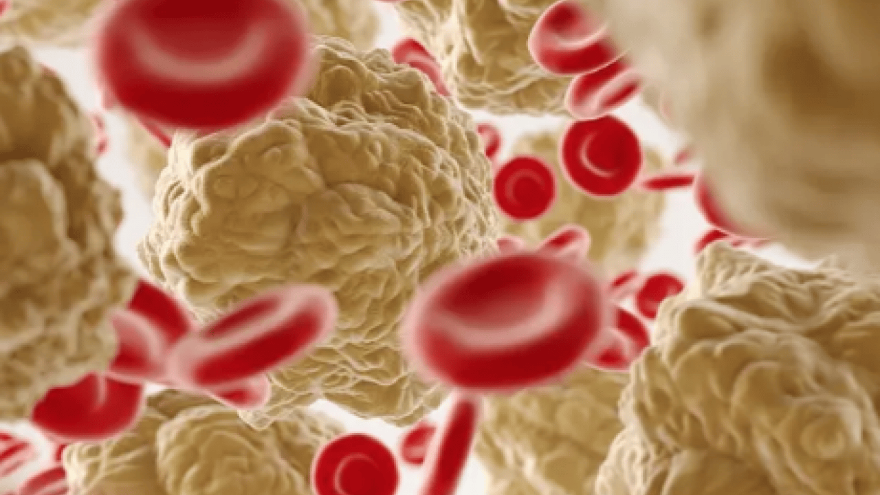 Foto - Yüksek kolesterol değerlerini kısa sürede düzeltiyor! Meyve ve sebzeler: Kolesterole karşı daha sağlıklı