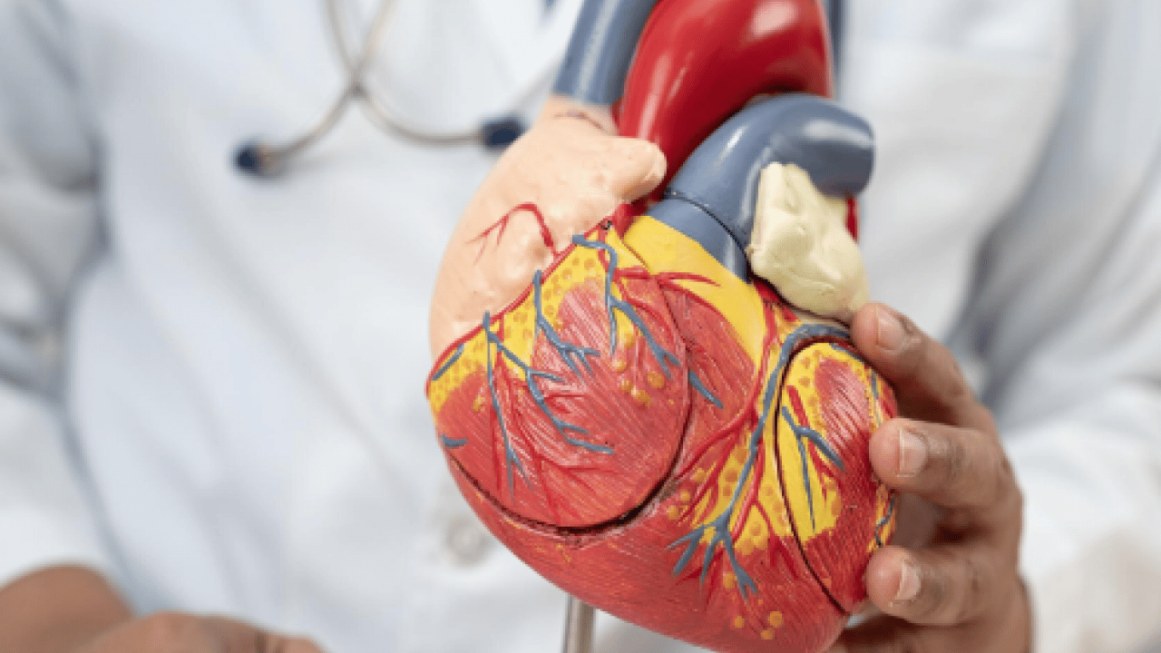 Foto - Yüksek kolesterol değerlerini kısa sürede düzeltiyor! Meyve ve sebzeler: Kolesterole karşı daha sağlıklı