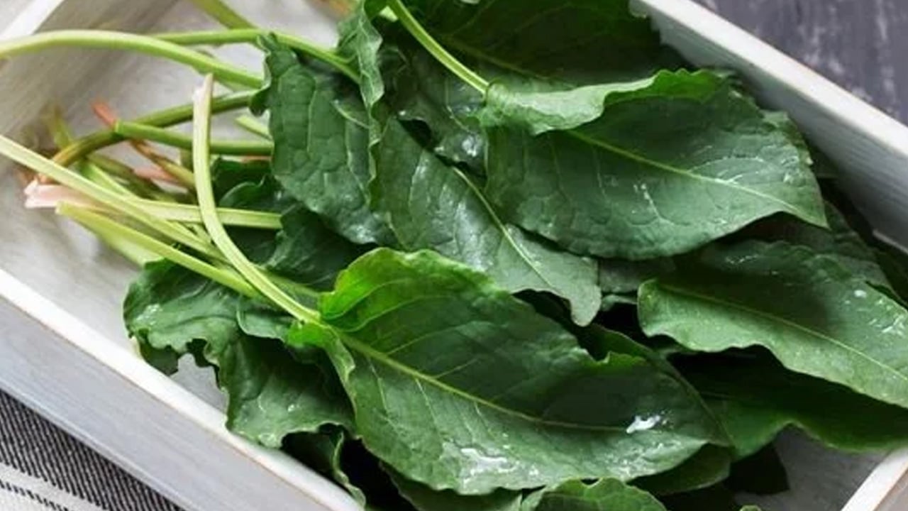 Foto - Mide hassasiyeti ve böbrek taşı olanlar dikkat: Kuzu kulağı şifa değil zehir saçıyor! Böyle yapan pişman olacak! 