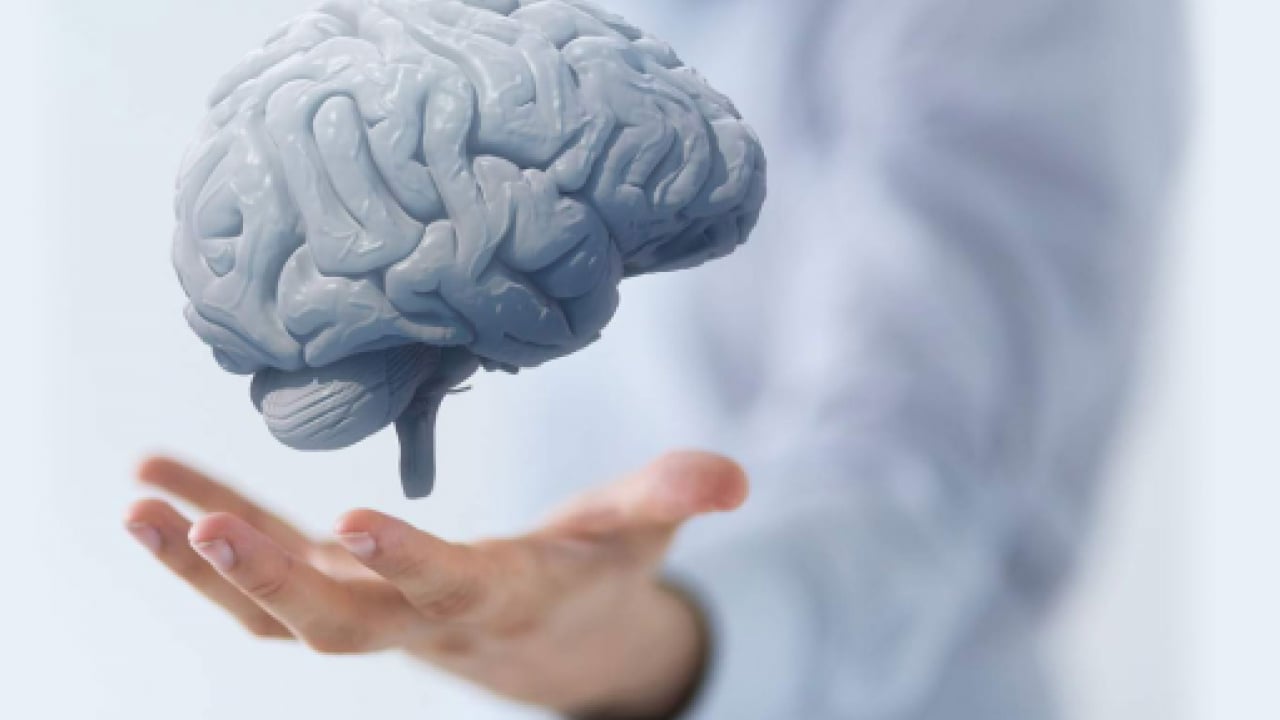 Foto - Migrenli beynin ‘filtre’ sırrı çözüldü! Türk bilim insanlarından dünya çapında keşif