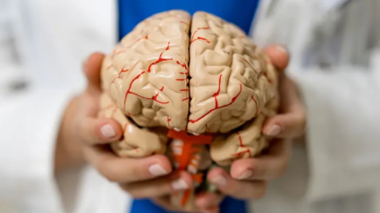 Foto - Migrenli beynin ‘filtre’ sırrı çözüldü! Türk bilim insanlarından dünya çapında keşif