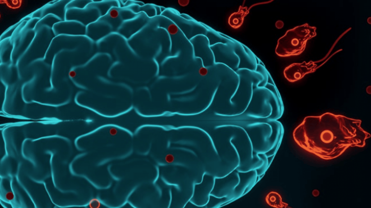 Mikrobiyoloji uzmanından uçak seyahati yapanlara uyarı! Yok yere bu hataya düşmeyin...