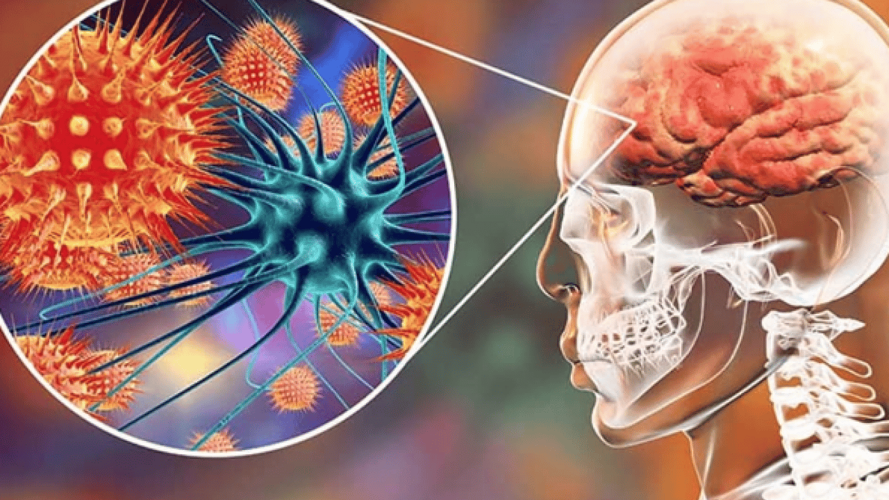 Foto - Mikrobiyoloji uzmanından uçak seyahati yapanlara uyarı! Yok yere bu hataya düşmeyin...