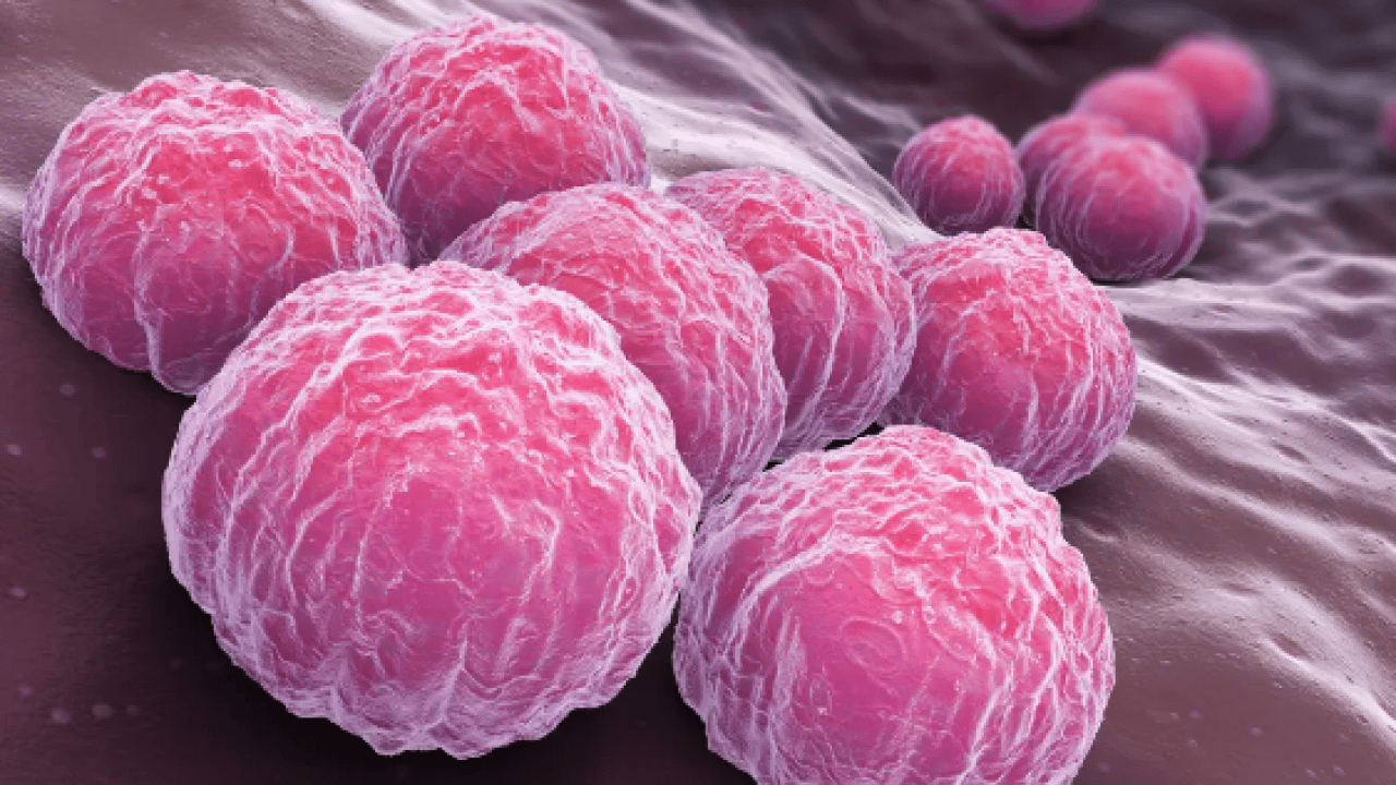 Foto - Mikrobiyoloji uzmanından uçak seyahati yapanlara uyarı! Yok yere bu hataya düşmeyin...