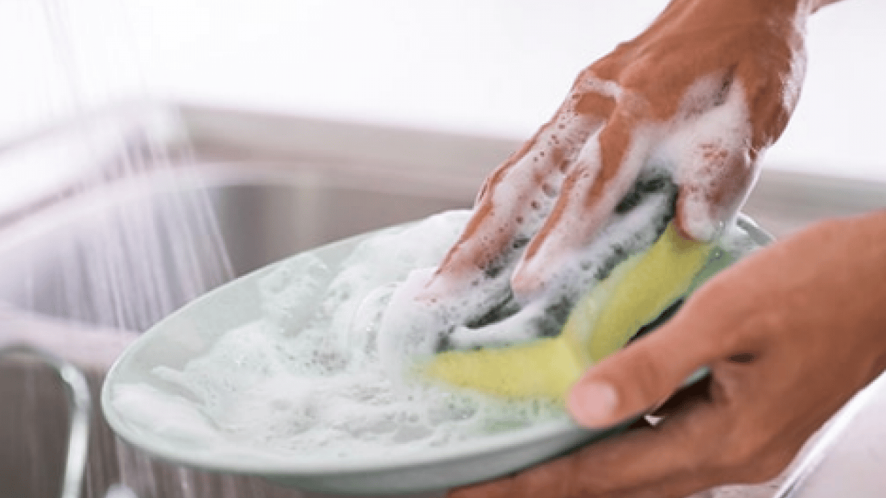 Foto - Mikroorganizmalar ve bakteri kolonisi... Bulaşık süngeri ne kadar kullanılmalıdır?