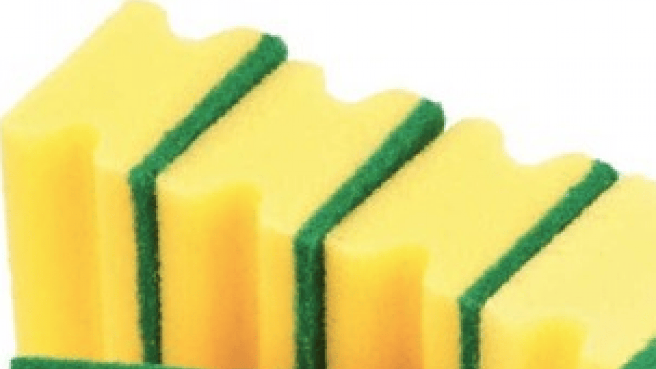 Foto - Mikroorganizmalar ve bakteri kolonisi... Bulaşık süngeri ne kadar kullanılmalıdır?