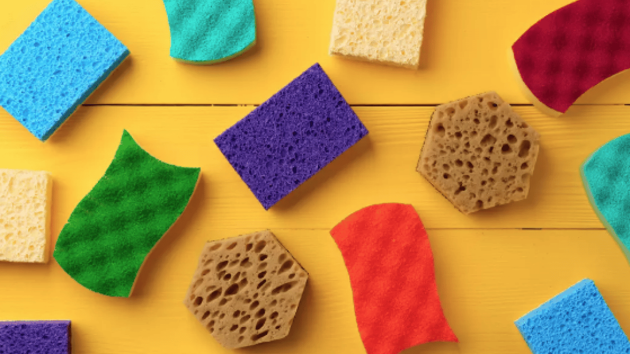 Foto - Mikroorganizmalar ve bakteri kolonisi... Bulaşık süngeri ne kadar kullanılmalıdır?