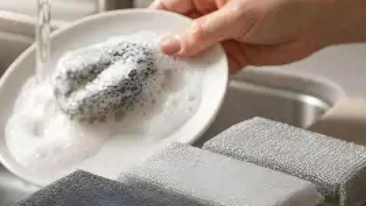 Foto - Mikroorganizmalar ve bakteri kolonisi... Bulaşık süngeri ne kadar kullanılmalıdır?