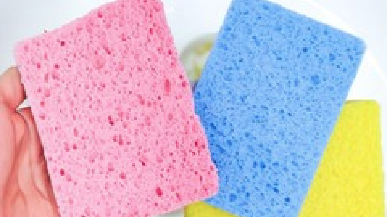 Foto - Mikroorganizmalar ve bakteri kolonisi... Bulaşık süngeri ne kadar kullanılmalıdır?