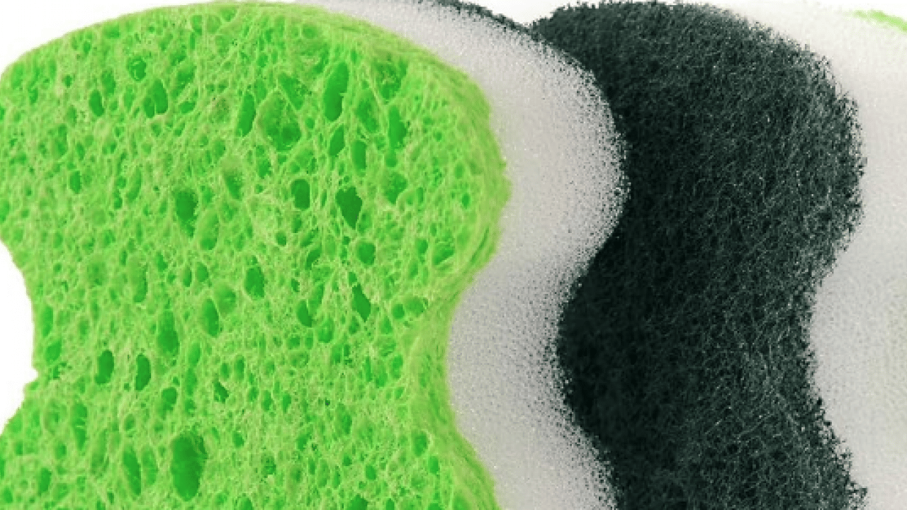 Foto - Mikroorganizmalar ve bakteri kolonisi... Bulaşık süngeri ne kadar kullanılmalıdır?