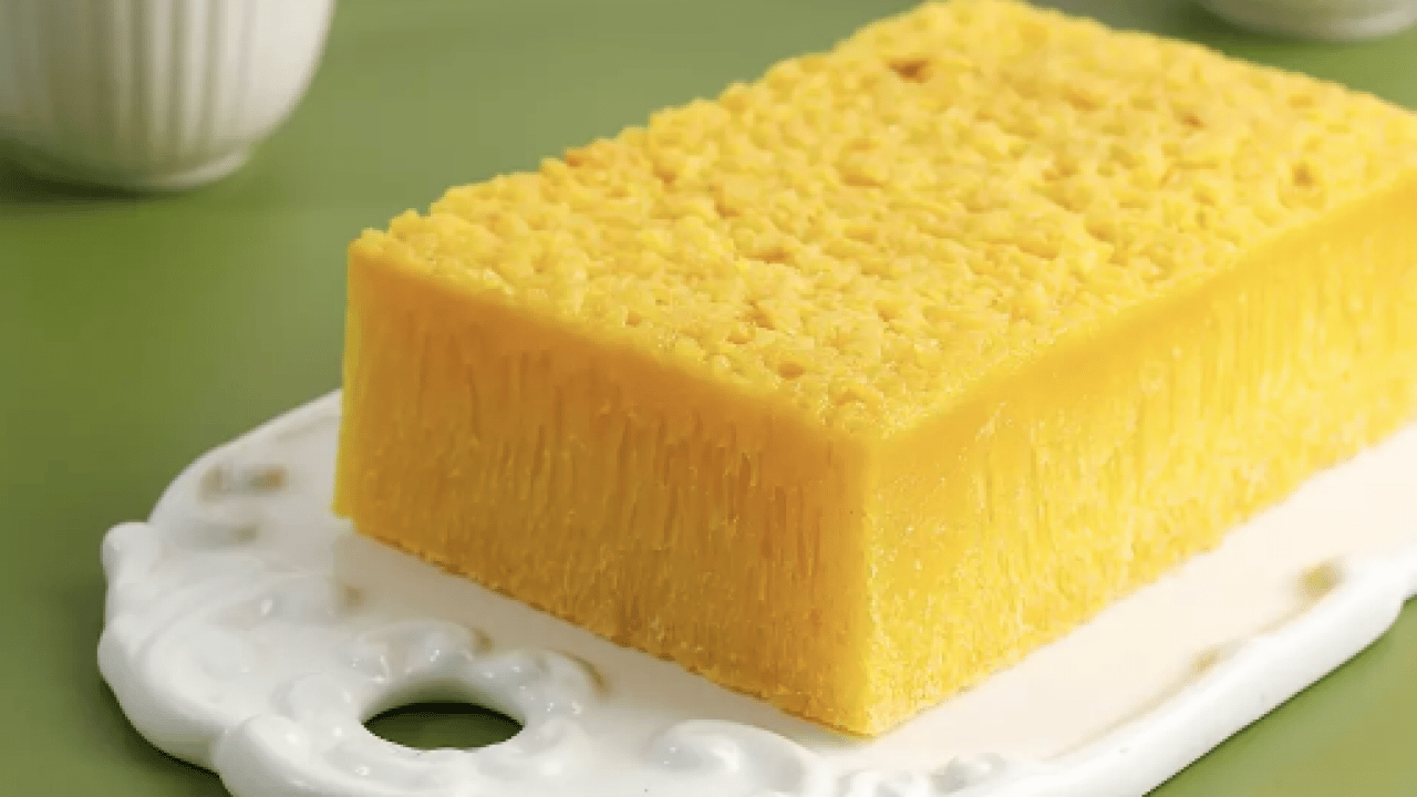 Foto - Mikroorganizmalar ve bakteri kolonisi... Bulaşık süngeri ne kadar kullanılmalıdır?