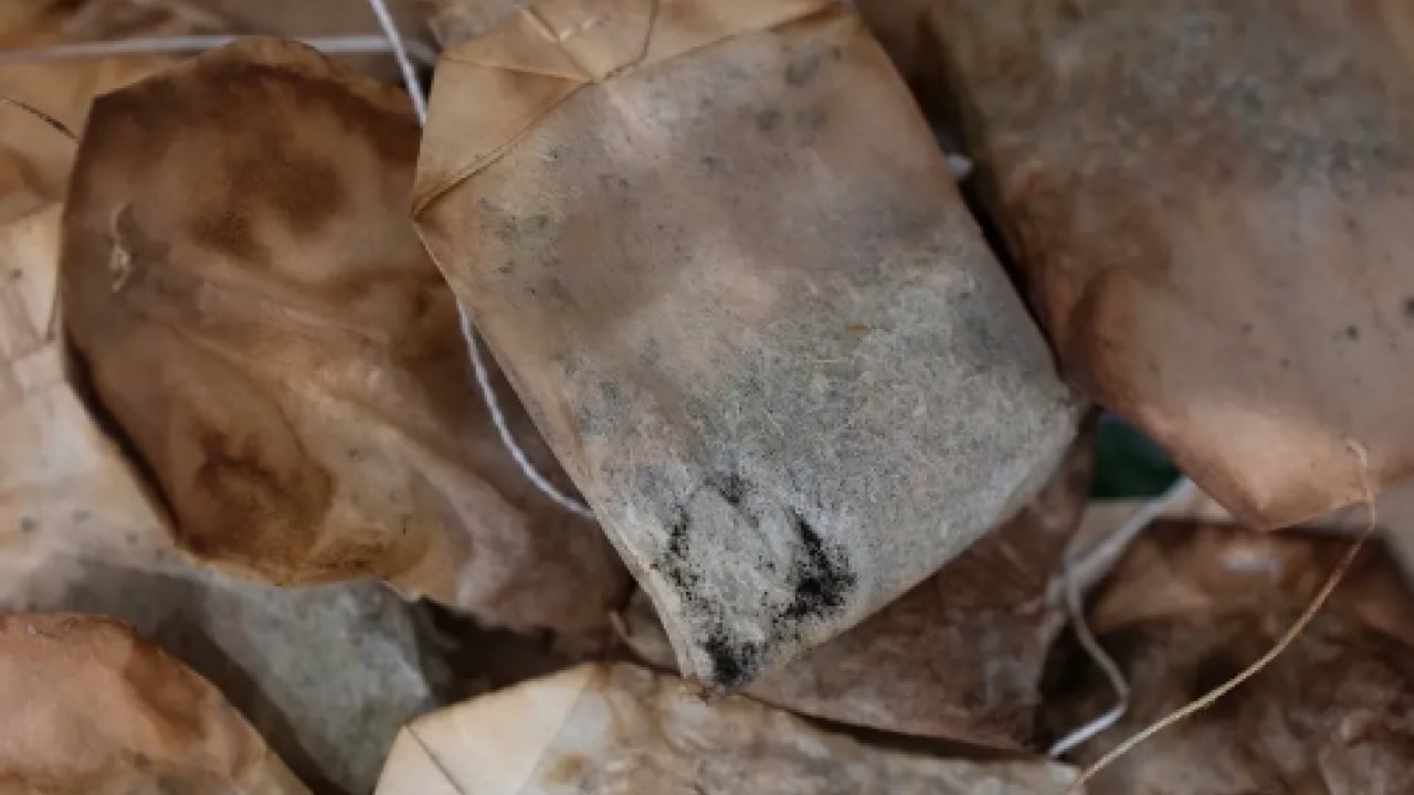 Foto - Mikroplar bu içecekte! O hastalık geliyorum diyor, ağzınıza sürmeyin