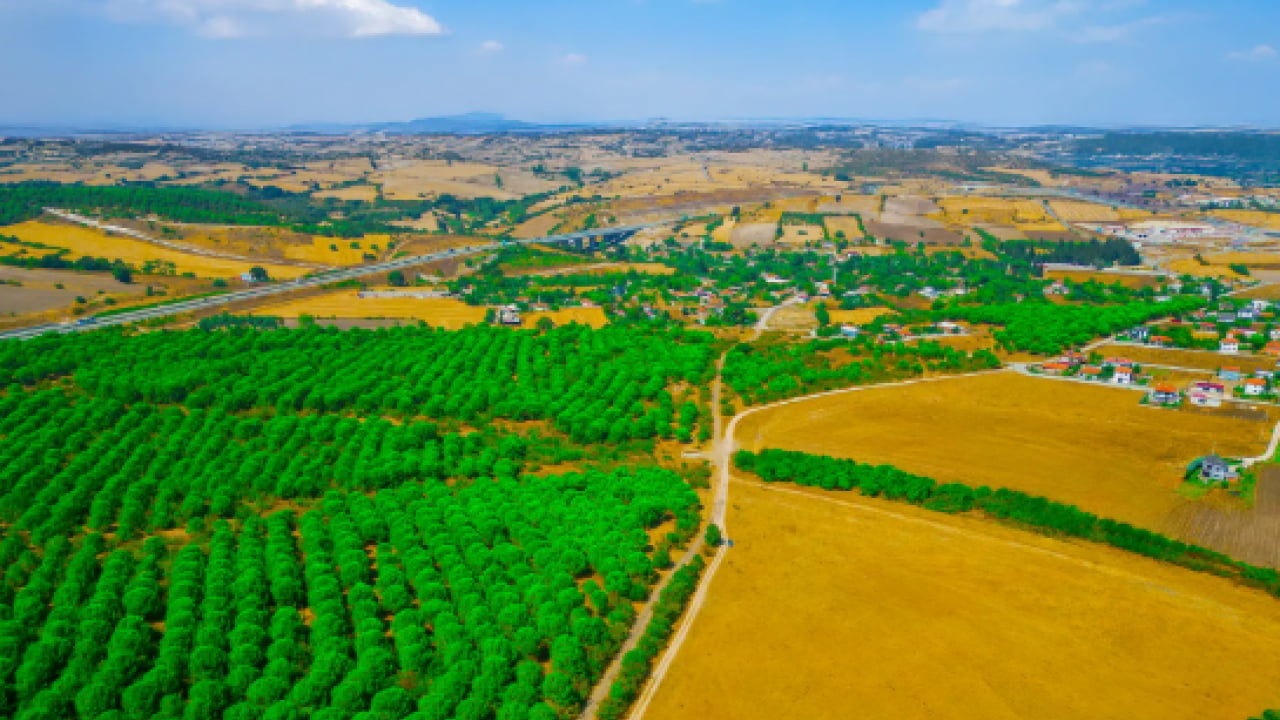 Foto - Milli emlak duyurdu: 10 bin TL'ye arsa alma fırsatı!