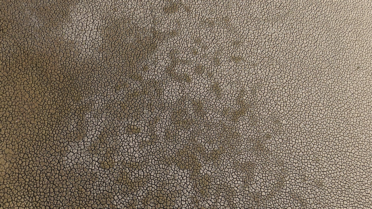 Foto - 'Milli park' özelliği tehlikede! Kovada Gölü’nde sessizlik çöktü