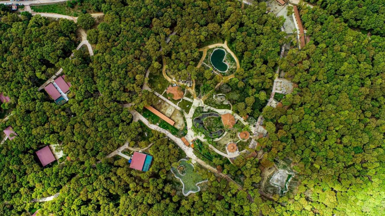 Foto - Milli parklar ve tabiat alanları bayramda ziyaretçilerini bekliyor