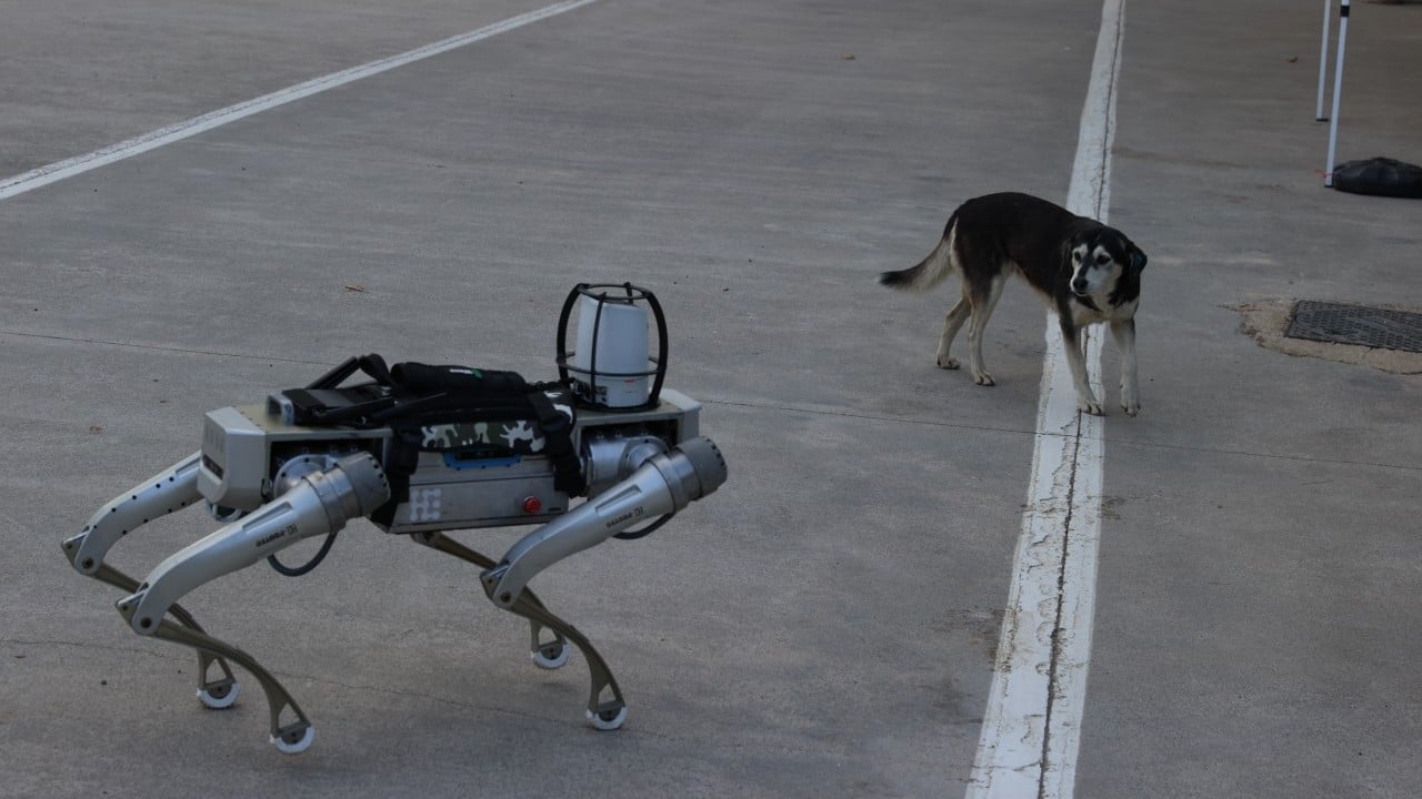 Foto - Milli robot köpek için tarih verildi! 'Sahada göreceksiniz'