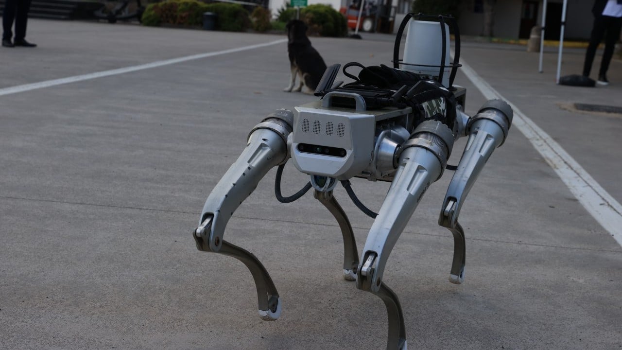 Foto - Milli robot köpek için tarih verildi! 'Sahada göreceksiniz'