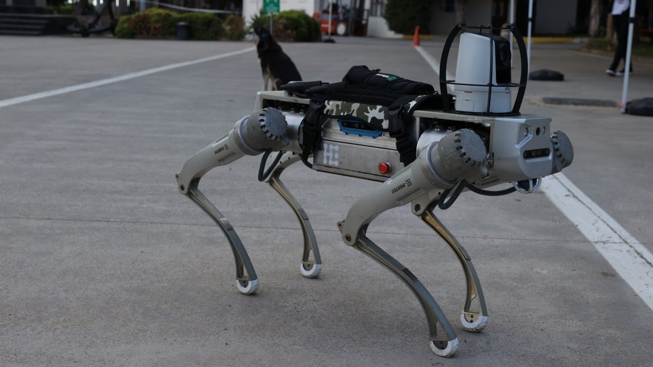 Foto - Milli robot köpek için tarih verildi! 'Sahada göreceksiniz'