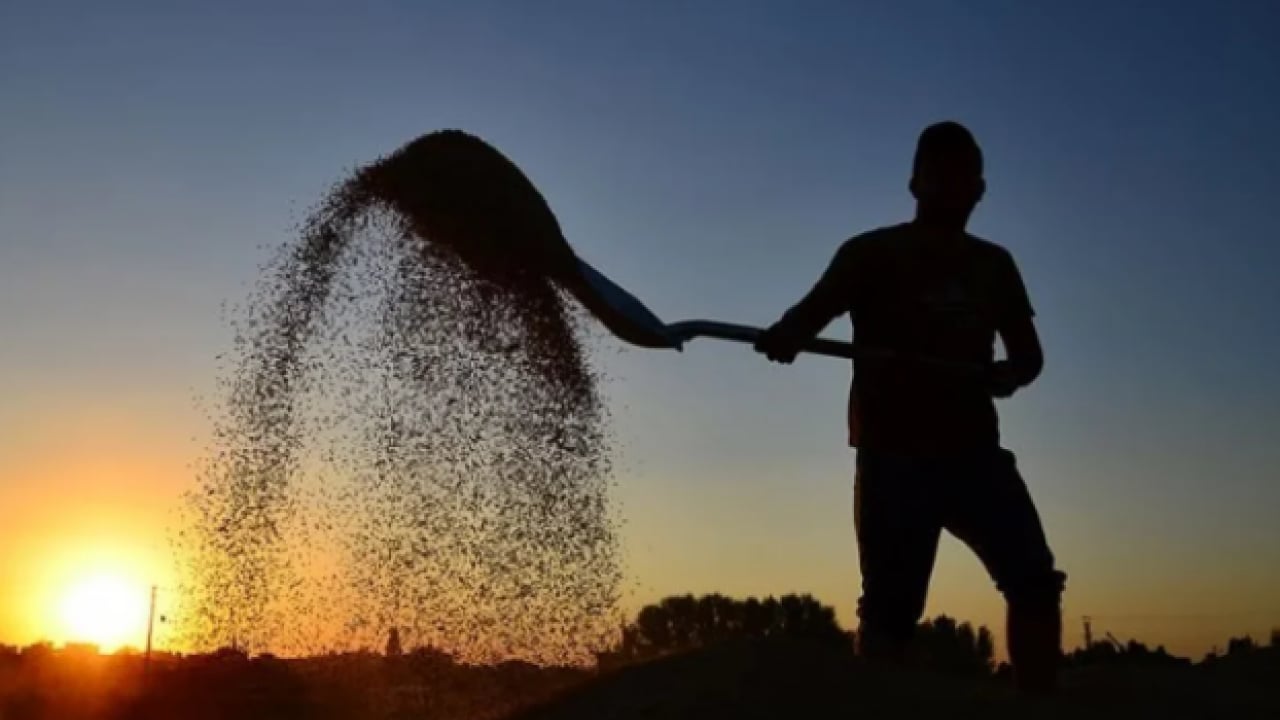 Foto - Milyonlar evini terk ediyor! İklim değişikliği küresel göçe zorluyor