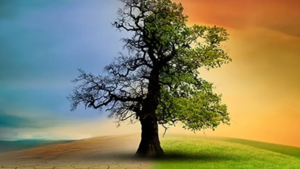 Foto - Milyonlar evini terk ediyor! İklim değişikliği küresel göçe zorluyor