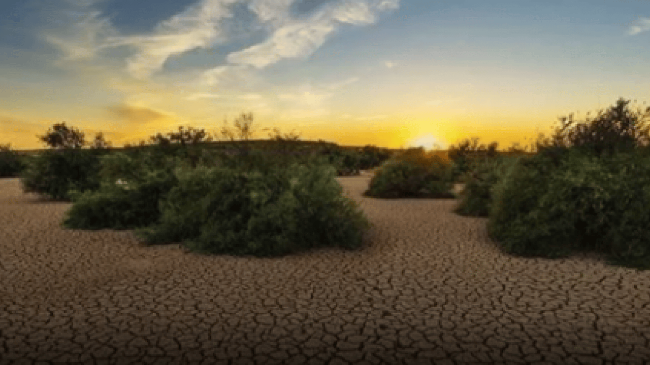 Milyonlar evini terk ediyor! İklim değişikliği küresel göçe zorluyor