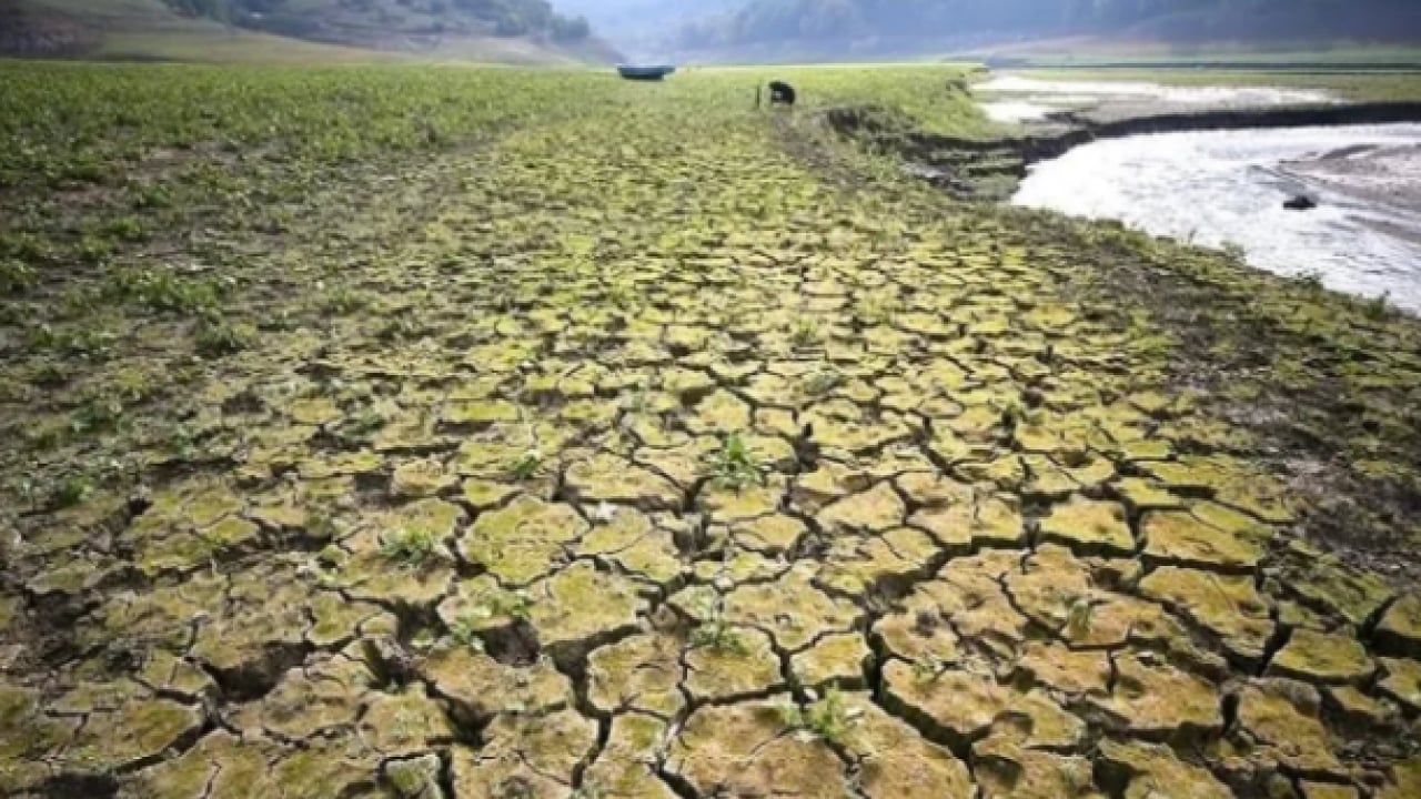 Foto - Milyonlar evini terk ediyor! İklim değişikliği küresel göçe zorluyor