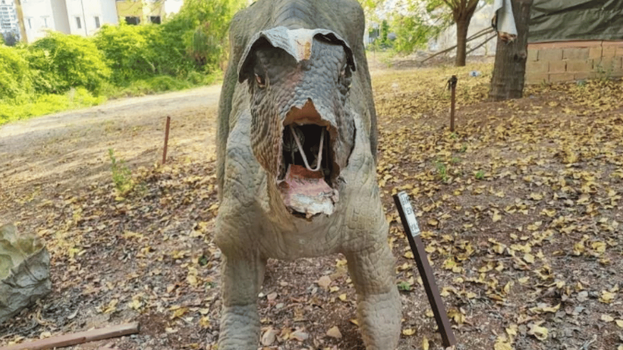 Milyonlarca lira harcanmıştı! Dinozorlar sessizliğe gömüldü