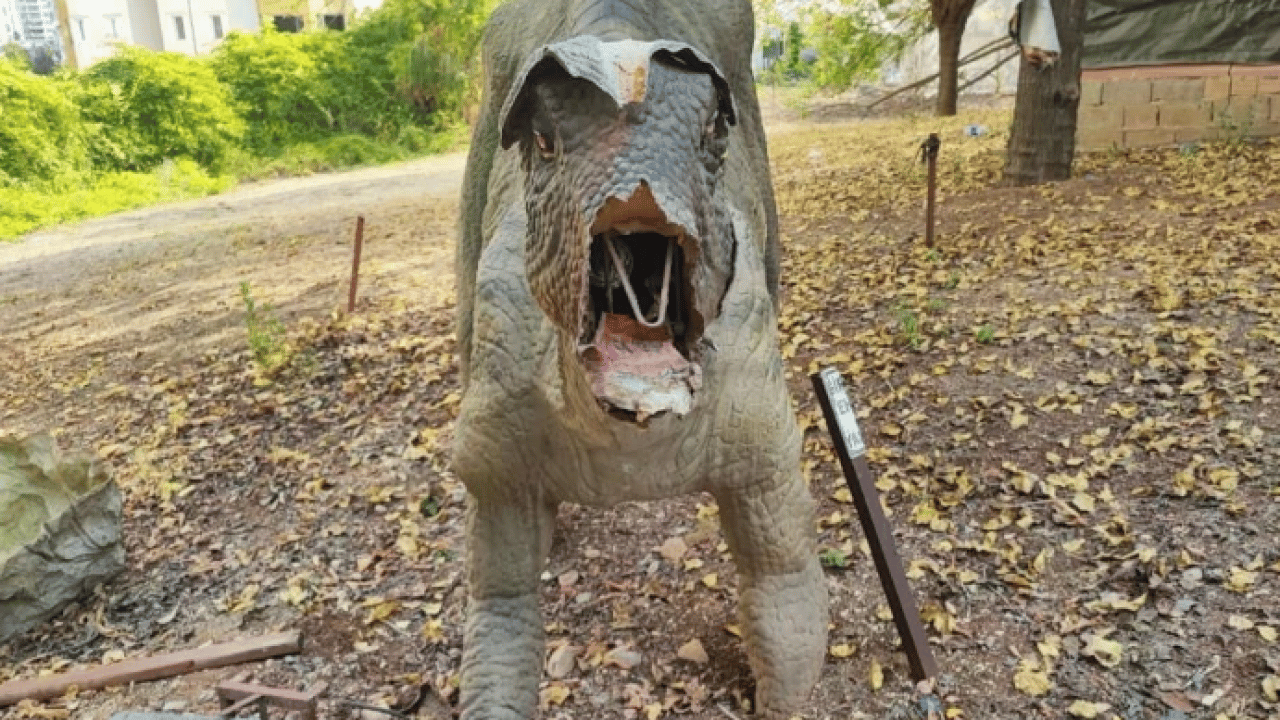 Foto - Milyonlarca lira harcanmıştı! Dinozorlar sessizliğe gömüldü