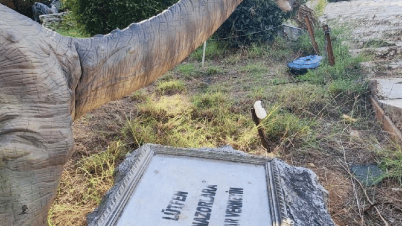 Foto - Milyonlarca lira harcanmıştı! Dinozorlar sessizliğe gömüldü