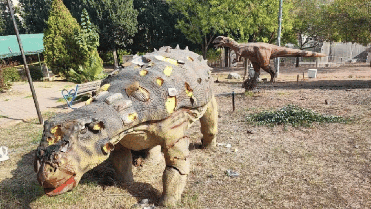 Foto - Milyonlarca lira harcanmıştı! Dinozorlar sessizliğe gömüldü