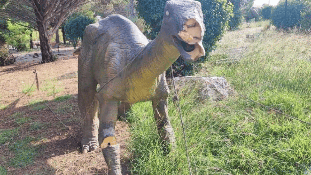 Foto - Milyonlarca lira harcanmıştı! Dinozorlar sessizliğe gömüldü