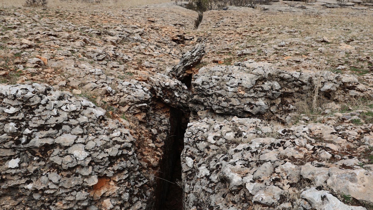 Milyonlarca yıllık sır! Diyarbakır’da deniz mi vardı?