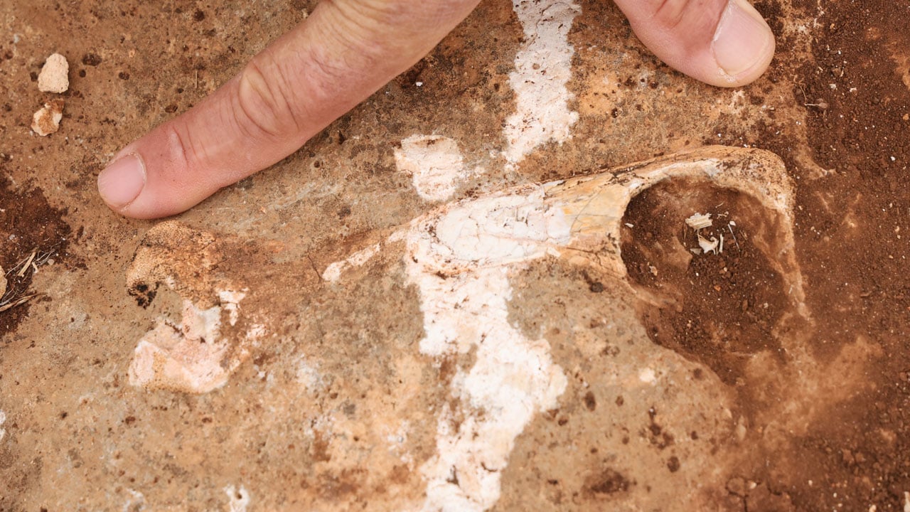 Foto - Milyonlarca yıllık sır! Diyarbakır’da deniz mi vardı?